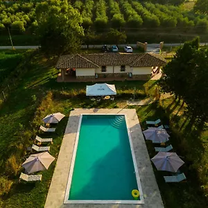 Anfora Della Apartment